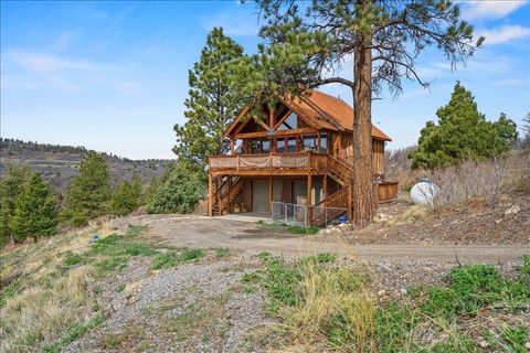 Property photo of 1685 Green Meadows Lane, Placerville, CO 81430