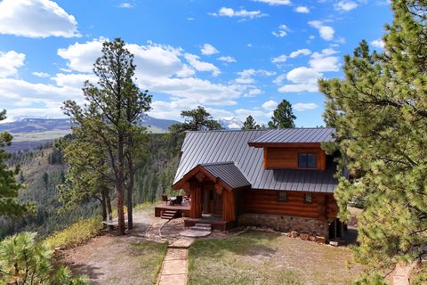 Property photo of 1776 Peninsula Drive, Placerville, CO 81430