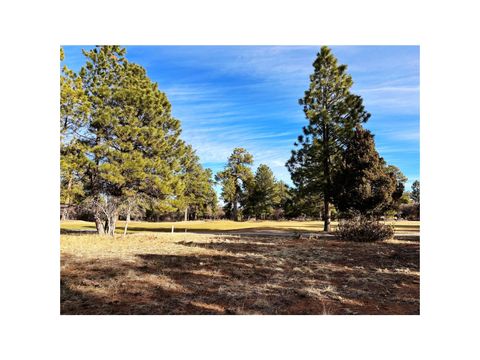 Photo of 120 Puma Lane, Ridgway, CO 81432 (MLS # 44185)