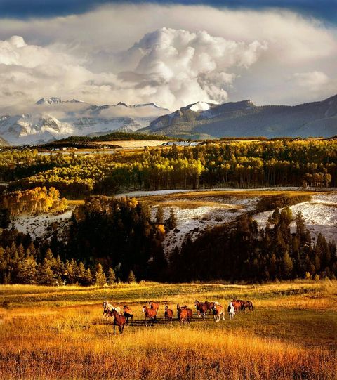 Photo of Last Dollar Road, Telluride, CO 81435 (MLS # 43697)