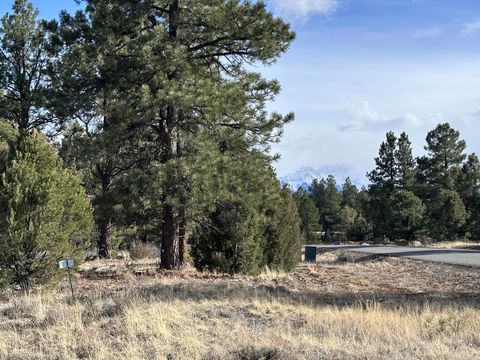 Photo of 1960 Marmot Drive, Ridgway, CO 81432 (MLS # 43315)