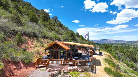Photo of 4115 County Road 17, Ridgway, CO 81432 (MLS # 44037)
