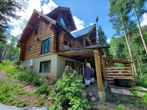 Photo of 31 Beeslack Lane, Ophir, CO 81426 (MLS # 43717)