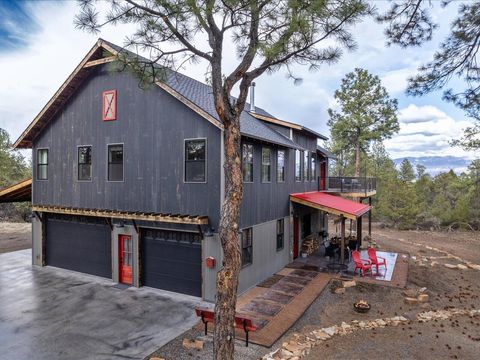 Photo of 252 Big Canyon Point Pt, Ridgway, CO 81432 (MLS # 43430)