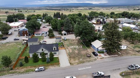 Photo of Naturita Street, Norwood, CO 81423 (MLS # 43834)