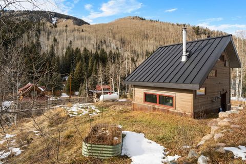 Photo of 135 W Soda Street Street, Rico, CO 81332 (MLS # 44155)