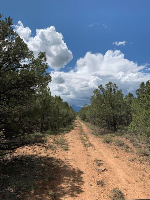 Photo of Ponderosa Drive, Ridgway, CO 81432 (MLS # 40570)