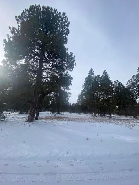 Photo of Badger Trail, Ridgway, CO 81432 (MLS # 43508)