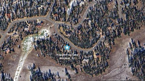 Photo of 74 White Tail Lane, Ridgway, CO 81432 (MLS # 42856)