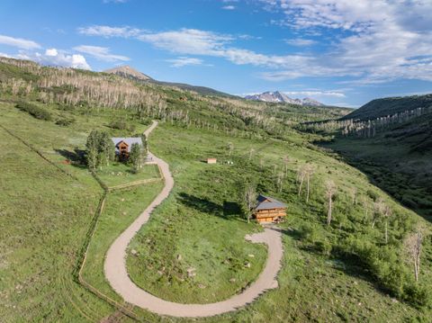Photo of 5109 County Road M44, Placerville, CO 81430 (MLS # 42578)