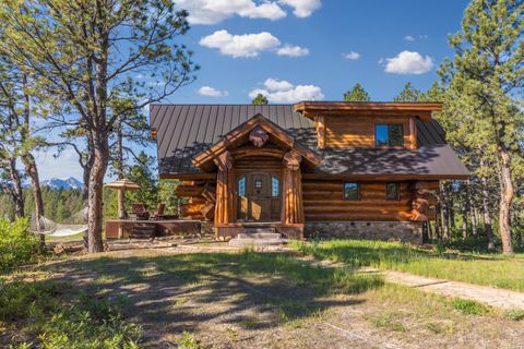 Photo of 1776 Peninsula Drive, Placerville, CO 81430 (MLS # 43667)