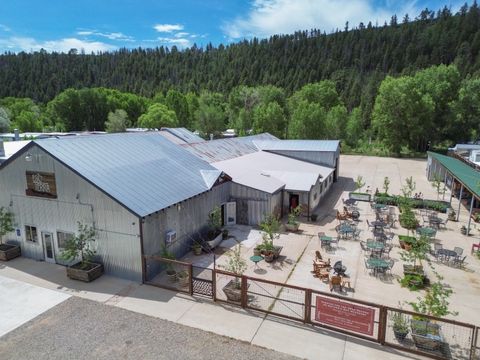 Photo of 18390 CO-145, Dolores, CO 81323 (MLS # 42618)