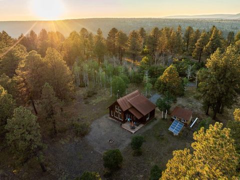 Photo of 150 W Piney Woods Way, Placerville, CO 81430 (MLS # 43908)