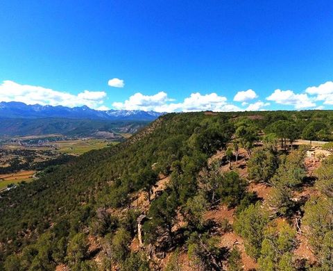 Property photo of Lot 43 Pine Drive, Ridgway, CO 81432