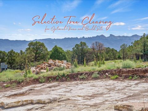 Photo of Pine Drive, Ridgway, CO 81432 (MLS # 43296)