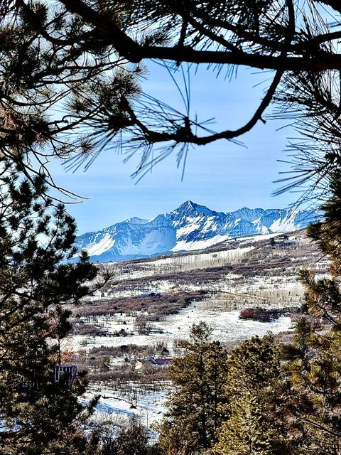 Photo of 120 Green Meadows, Placerville, CO 81430 (MLS # 44294)