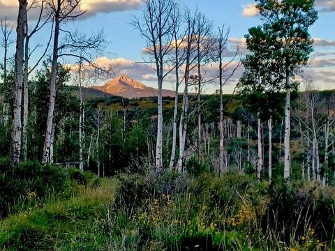 Photo of County Road M44, Placerville, CO 81430 (MLS # 42906)