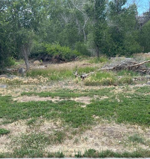 Photo of 720 SE Stonebridge Drive, Out of area, CO (MLS # 43227)