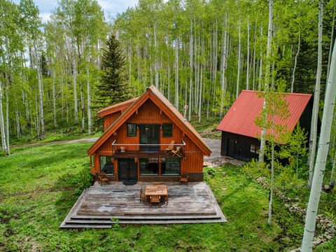 Photo of 654 Woods Road, Placerville, CO 81430 (MLS # 43842)