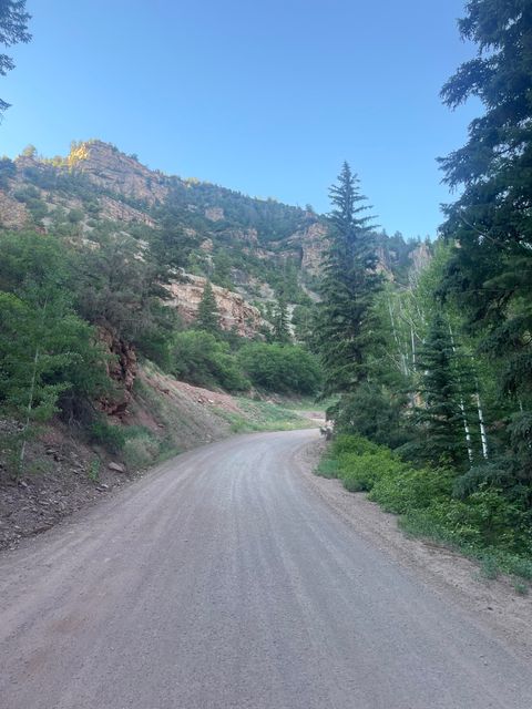 Photo of 58P Road, Sawpit, CO 81430 (MLS # 42511)