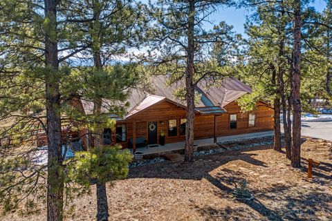 Photo of 213 Big Canyon Point Pt, Ridgway, CO 81432 (MLS # 44338)