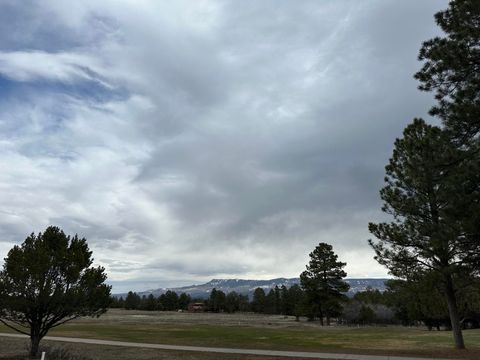 Photo of S Badger Trail, Ridgway, CO 81432 (MLS # 41438)