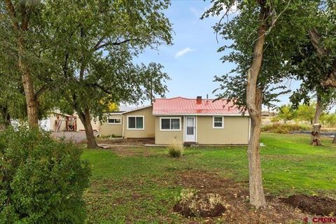 Photo of 2410 6450 Road, Montrose, CO 81401 (MLS # 44180)