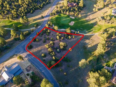 Photo of Pronghorn Lane, Ridgway, CO 81432 (MLS # 42926)