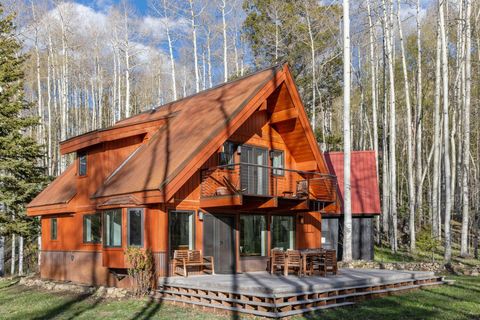 Property photo of 654 Woods Road, Placerville, CO 81430