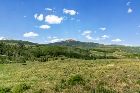 Photo of Wilson Mesa Ranch Circle, Placerville, CO 81430 (MLS # 42631)