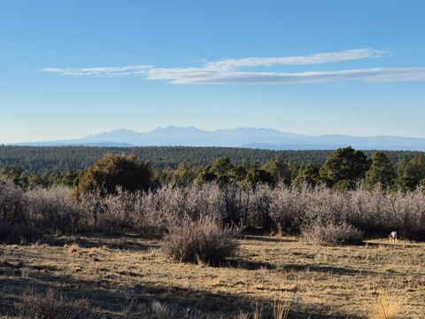 Photo of South Avalon, Norwood, CO 81423 (MLS # 43398)