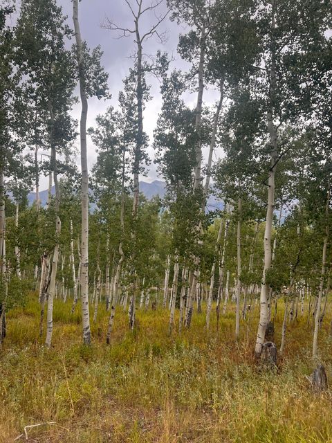Photo of Wapiti Road, Telluride, CO 81435 (MLS # 43915)