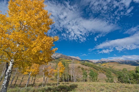 Featured picture for the property 42661