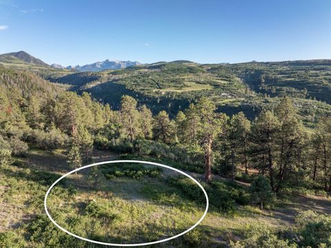 Photo of 126 Green Meadows Lane, Placerville, CO 81430 (MLS # 43738)