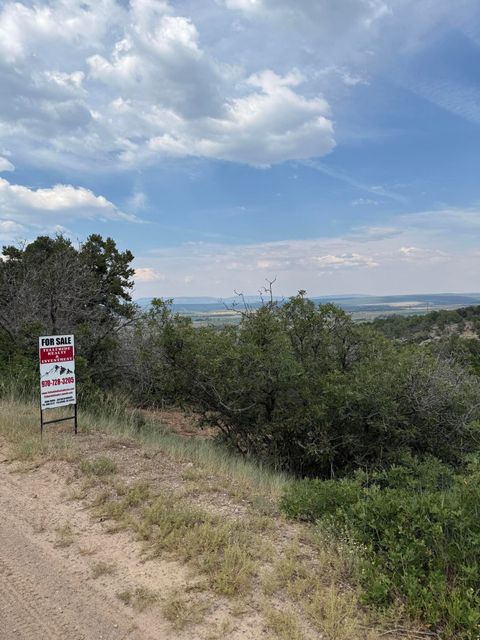 Photo of 10 Juniper Drive, Norwood, CO 81423 (MLS # 43742)