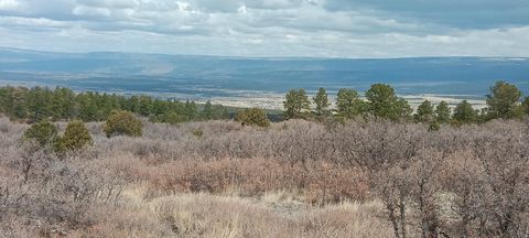 Photo of 585 N Avalon Drive, Norwood, CO 81423 (MLS # 43381)