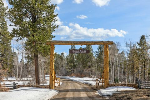 Photo of 280 Sage Grouse, Placerville, CO 81430 (MLS # 44181)
