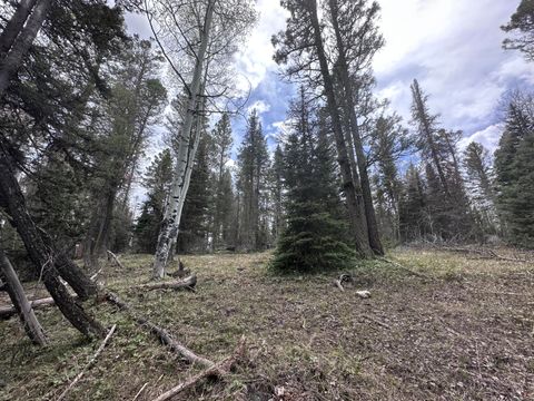 Photo of 766 Crest Drive, Out of area, CO (MLS # 43475)