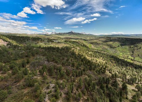 Photo of M44, Placerville, CO 81430 (MLS # 43494)