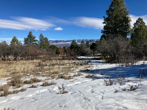 Photo of 1254 Marmot Dr. Dr, Ridgway, CO 81432 (MLS # 43251)