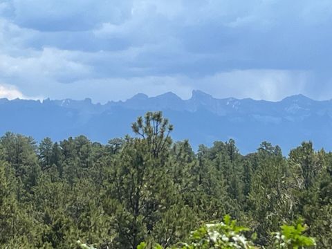 Photo of 202 Woodchuck Place, Ridgway, CO 81432 (MLS # 43704)
