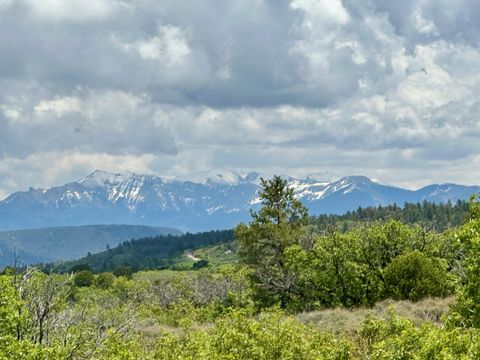 Photo of 9 N Gurley Reserve Dr, Norwood, CO 81423 (MLS # 43417)