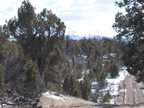 Featured picture for the property 43355