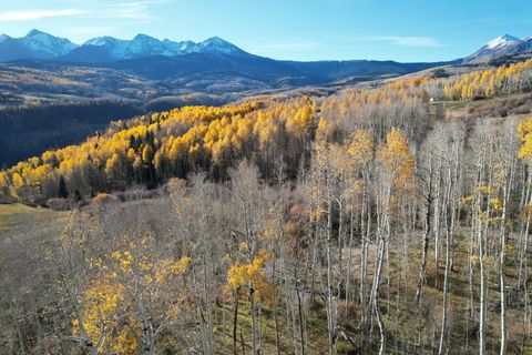 Photo of Little Cone Ranch Road, Placerville, CO 81430 (MLS # 39618)