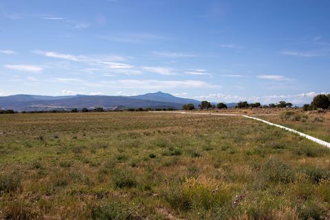 Photo of 14 Bostwick Park Road, Montrose, CO 81401 (MLS # 43810)