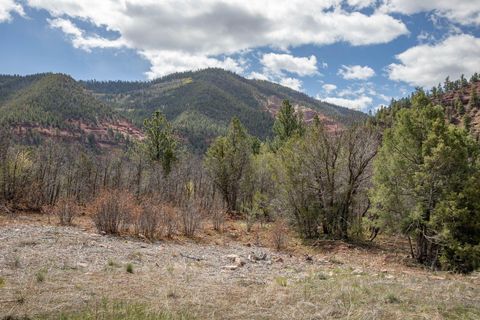 Property photo of 277 Trunk Road, Placerville, CO 81430