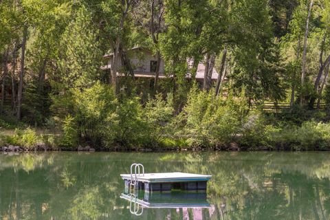 Photo of 219 Juniper Village Drive, Placerville, CO 81430 (MLS # 43828)
