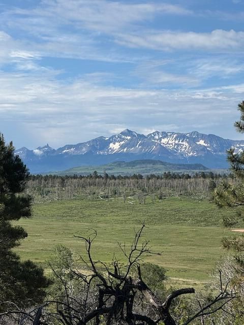 Photo of TBD, Placerville, CO 81430 (MLS # 42699)