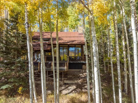 Photo of 171 Elk Park Road, Telluride, CO 81435 (MLS # 43993)