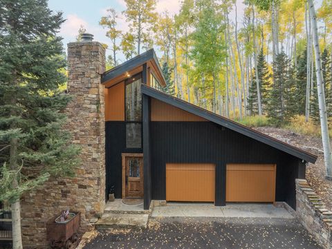Photo of 171 Elk Park Road, Telluride, CO 81435 (MLS # 43993)